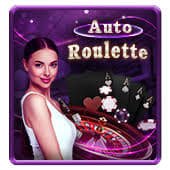 z11bet